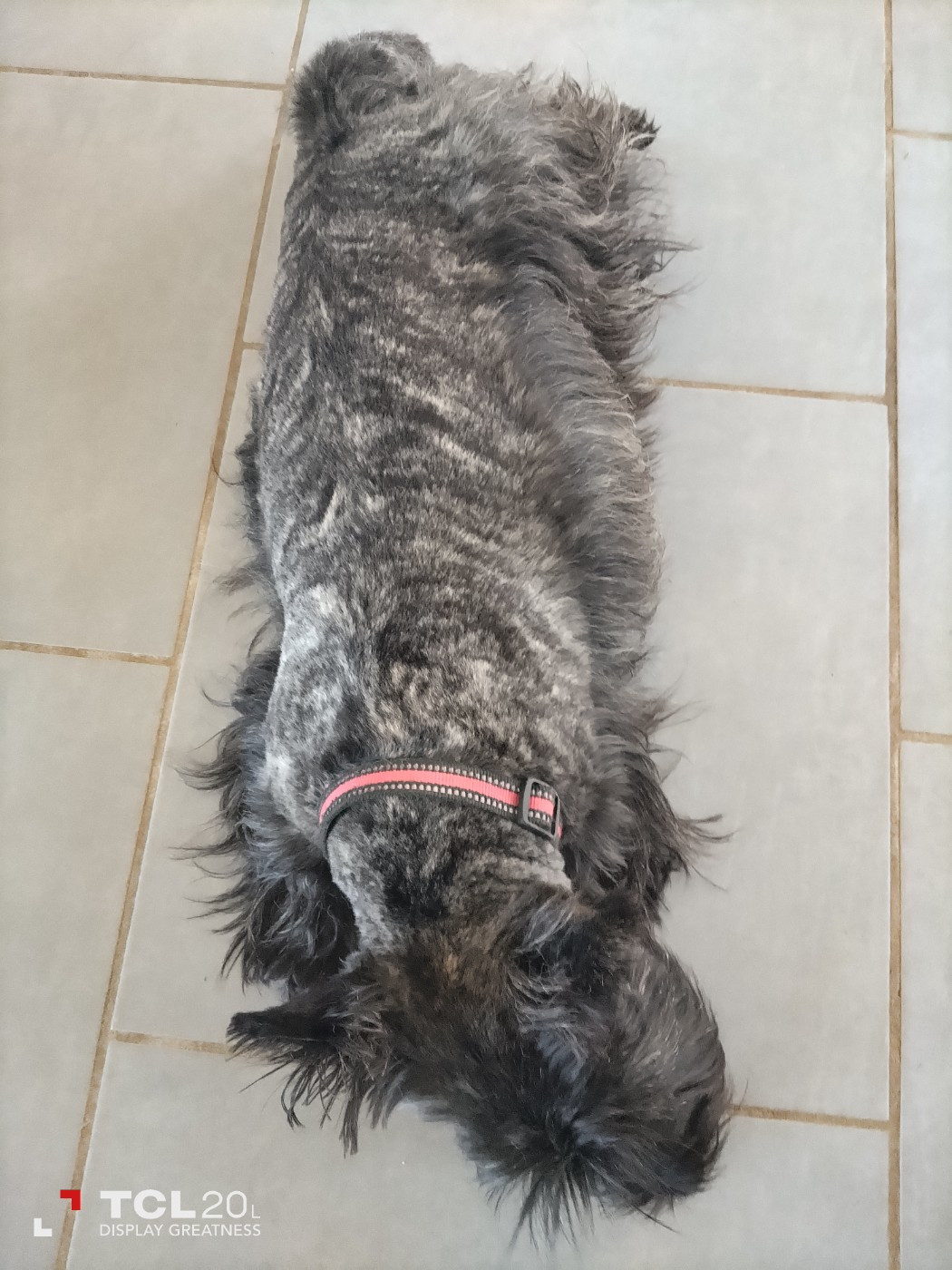 upette De La Grande Ouche De Tuzie